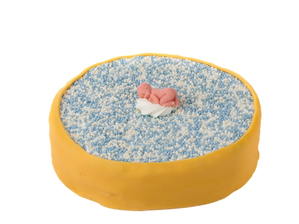 Geboortetaart Jongen - 26 cm 12 personen